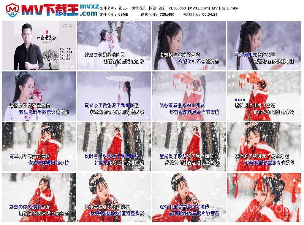 正云-一树雪花白_国语_流行_YE300553